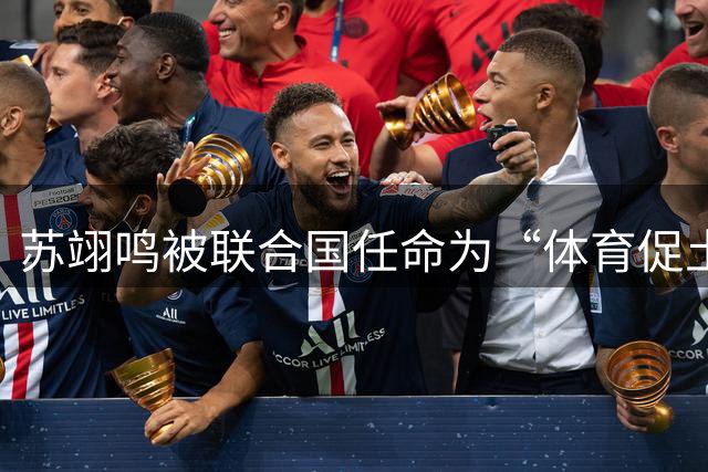 苏翊鸣被联合国任命为“体育促土地”大使