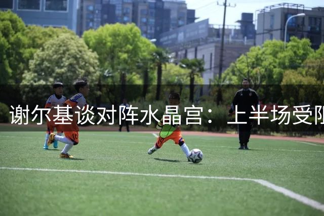 谢尔基谈对阵水晶宫：上半场受阻，下半场觅得破门良机